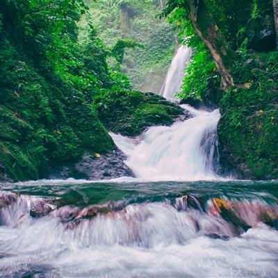 梦回凤歌手游国际版下载